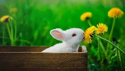 金年会官网-中国女足联赛开赛在即，球迷期待队伍的表现，中国女足足球比赛